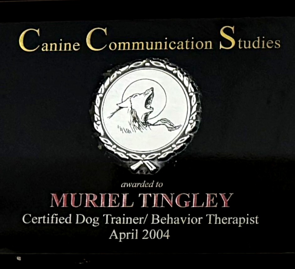 Muriel Tingley's certification — Canine Communication Studies, Certified Dog Trainer / Behavior Therapist, April 2004